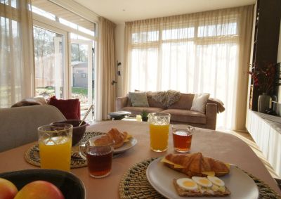 Wellnesshuisje Heuvelrug (14)