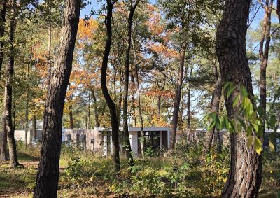 Natuurhuisje Hellendoorn (5)