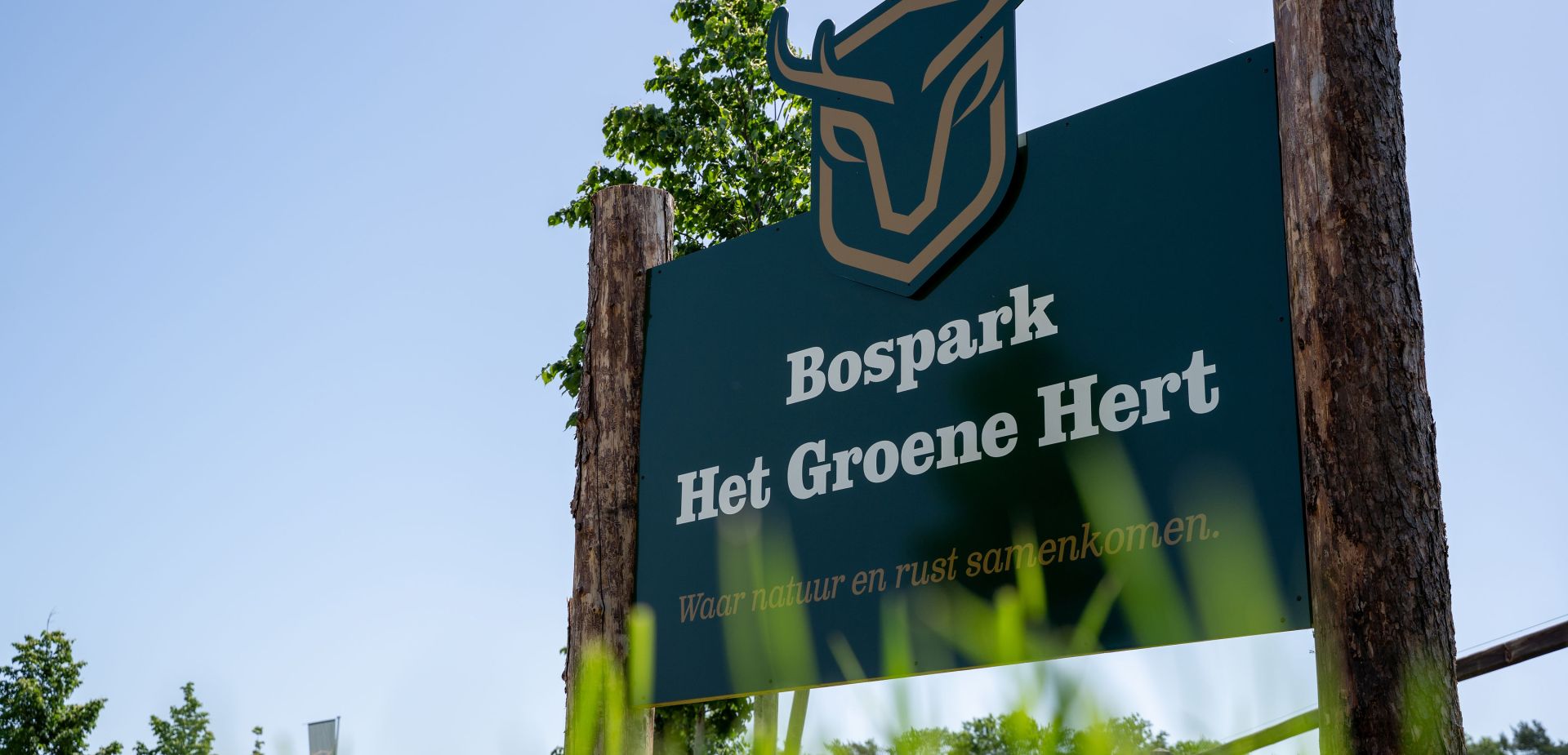 Bospark Het Groene Hert (6)